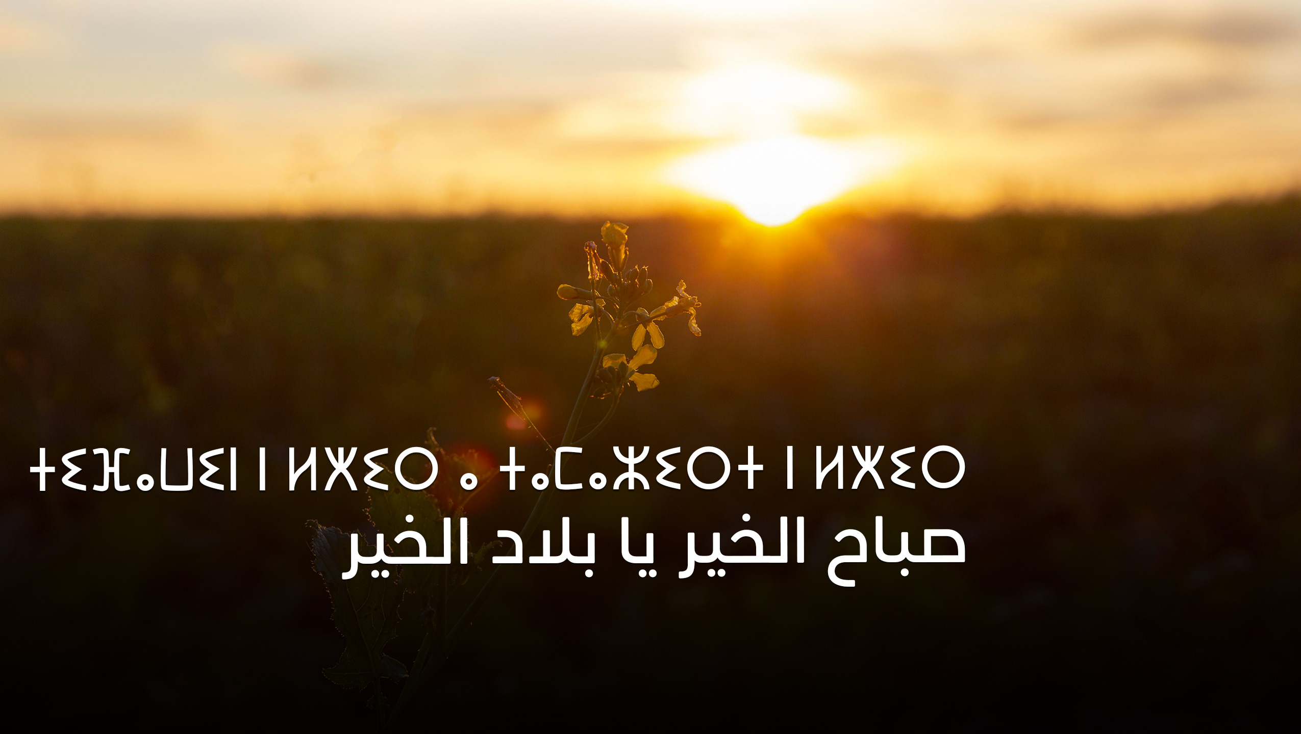 SNRT Sbah el khir ya blad el khir