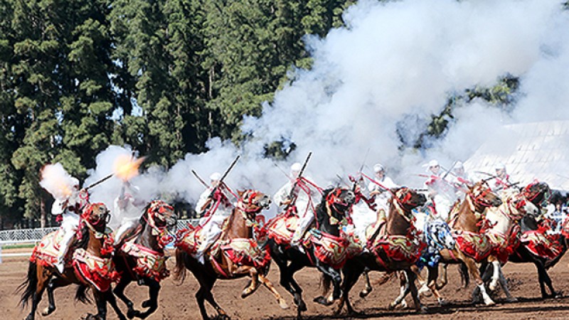 18è Trophée Hassan II des arts équestres traditionnels “Tbourida”: Victoire des troupes El Fatehy (Séniors) et Jebouji (Juniors)