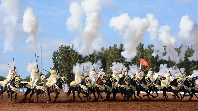 Le 19è Trophée Hassan II des arts équestres (Tbourida): Sept troupes en finale