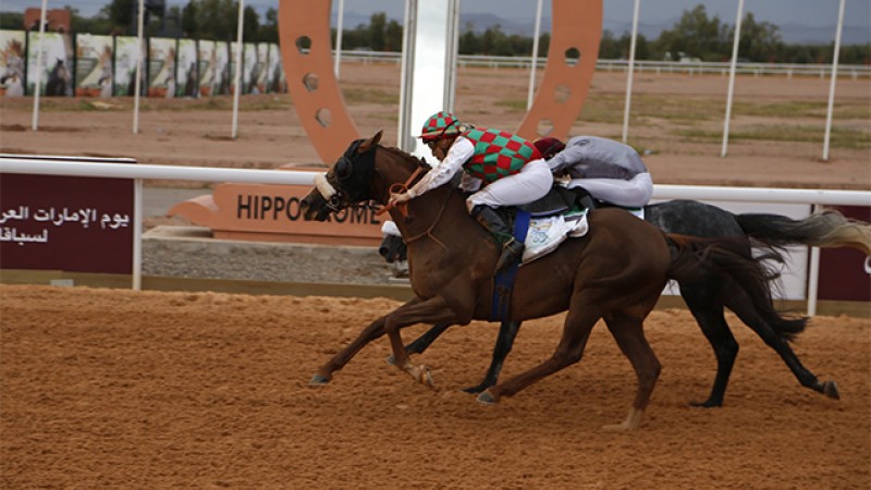 "UAE Abu Dhabi Race Day" : Le cheval "Aoun" remporte à Marrakech le GP Cheikh Zayed Bin Sultan Al Nahyane