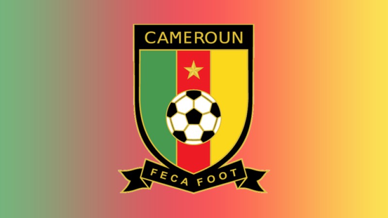 Coupe d'Afrique des Nations (CAN-2019)