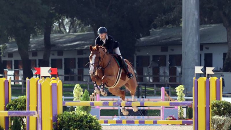 Championnat du Maroc de saut d'obstacles.. Zayd Reifhi Al Alaoui sacré dans la catégorie juniors
