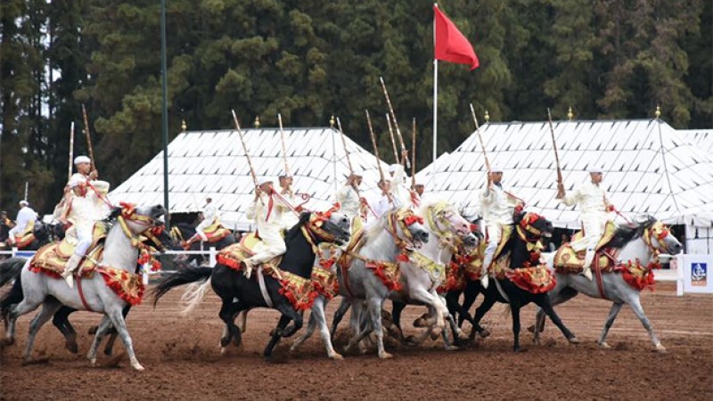 Coup d'envoi à Rabat de la 21ème édition du Trophée Hassan II des arts équestres traditionnels "Tbourida"