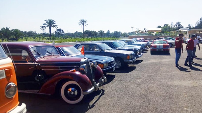 مراكش.. تنظيم مؤتمر دولي للسيارات العتيقة من 13 إلى 15 ماي