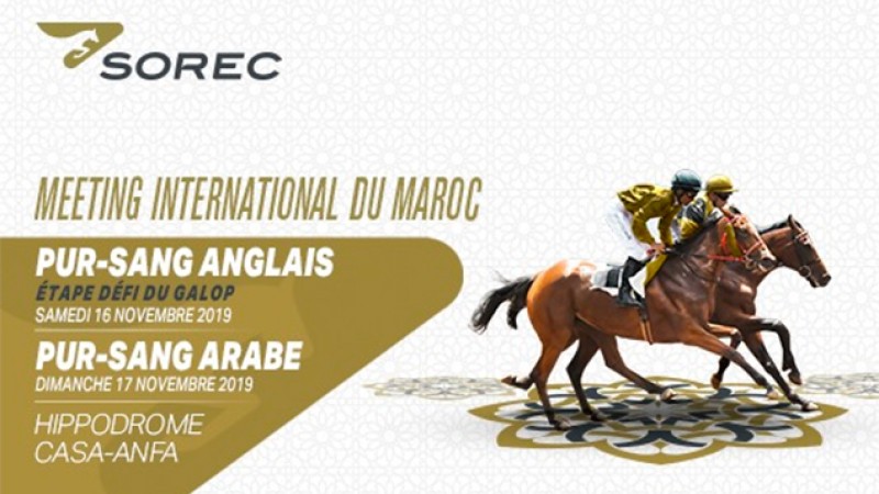 Le cheval Rajeh remporte le GP de SM le Roi Mohammed VI du pur-sang arabe