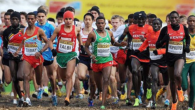 Championnats du monde de cross-country: Les équipe marocaines du relais mixte et juniors garçons dans le top 5