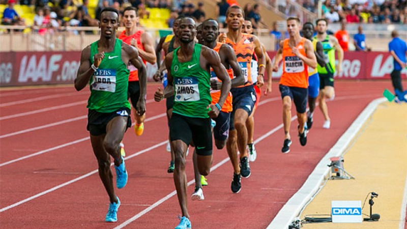 Meeting international Mohammed VI: Le top 5 mondial du demi-fond réuni au 800m