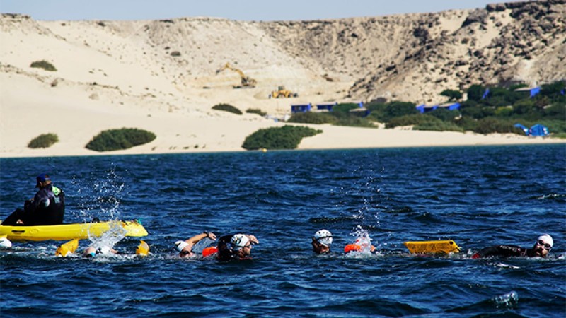 La 7ème édition du "Morocco Swim Trek", du 29 novembre au 4 décembre à Dakhla