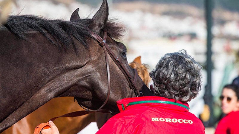 Tétouan: Coup d'envoi de la 1re étape de la 10e édition du Morocco Royal Tour de saut d'obstacles