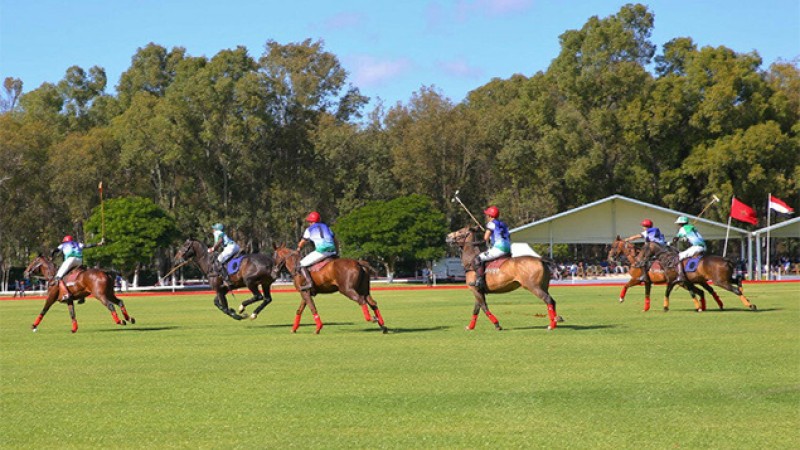 Coupe du Trône de polo.. l'équipe de polo de la Garde Royale remporte le titre de la 1ère édition