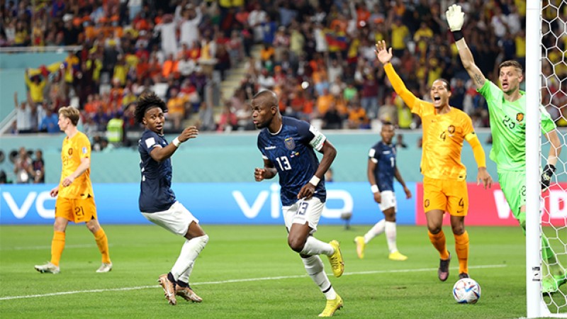 Mondial-2022 "2e journée-Groupe A".. les Pays-Bas et l’Equateur font match nul (1-1)