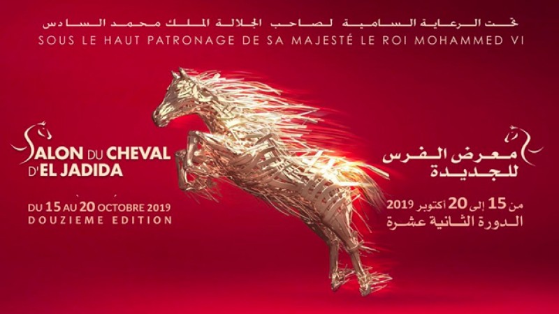 معرض الفرس بالجديدة: رواق القوات المسلحة الملكية يبرز القيمة التراثية والثقافية للفرس