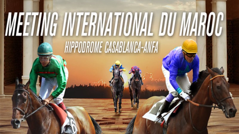 Le Meeting international du Maroc : l’occasion de mettre en avant la filière des courses de chevaux