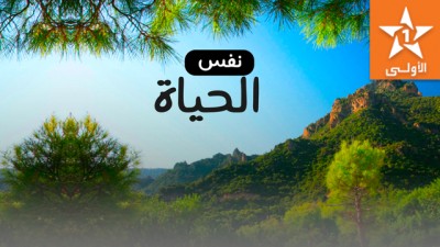 Al Maghribia