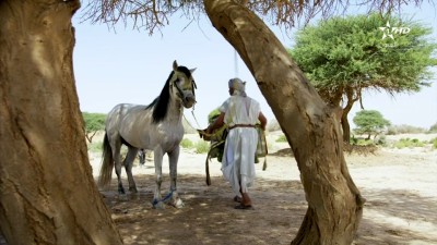  - ما تعمى الأبصار - الجزء الثاني - Ghab w jab