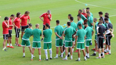 CAN 2017, Herve renard