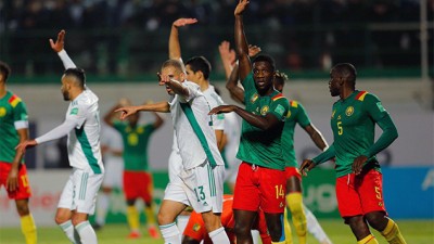 Barrage Mondial-2022.. le recours de l'Algérie rejeté par la FIFA