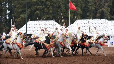 Coup d'envoi à Rabat de la 21ème édition du Trophée Hassan II des arts équestres traditionnels "Tbourida"