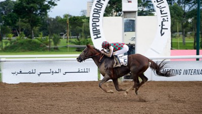 Le cheval Taymour remporte le Grand Prix de SM le Roi Mohammed VI du pur-sang Arabe