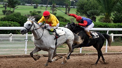 Le cavalier Madihi Said remporte le Grand Prix Mohammed V des courses hippiques.