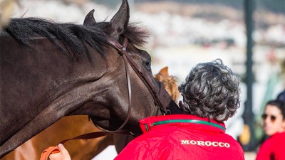 Tétouan: Coup d'envoi de la 1re étape de la 10e édition du Morocco Royal Tour de saut d'obstacles