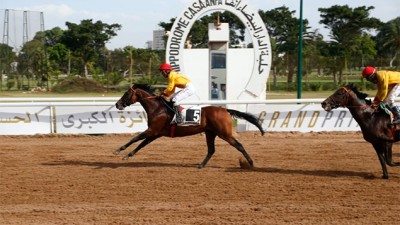 الفرس "قزوين " يفوز بالجائزة الكبرى لجلالة المغفور له الحسن الثاني لسباق الخيل بالدار البيضاء