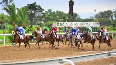 Marrakech accueille le Festival de Son Altesse Sheikh Mansoor Bin Zayed Al Nahyan des courses de chevaux Pur-sang Arabe (SOREC)