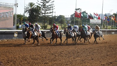 تنظيم الدورة الثانية للجائزة الكبرى لإفريقيا لسباقات الخيول بمراكش من 23 إلى 25 فبراير الجاري