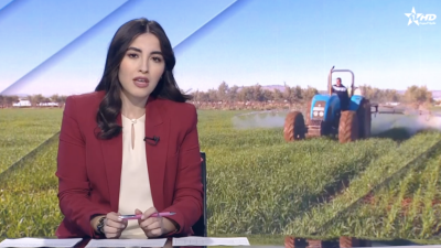 Telediario 04-02-2024
