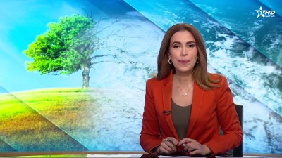 الأخبار الظهيرة الأولى24/11/2024
