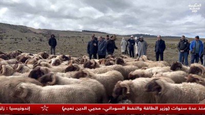 JT 15H MAGHRIBIA 23032025