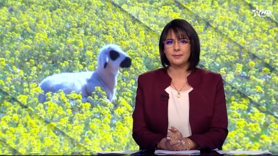 الأخبار الرئيسية الأولى 12/04/2025