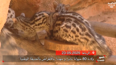  - AL SOURA TATAHADAT : EP 23 - الصورة تتحدث