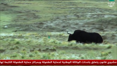JT Al Maghribia 15h du 19/06/2025