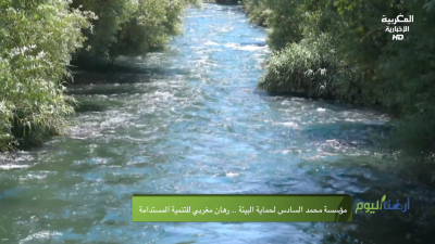 - - Ardouna Al Yawm