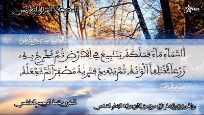 - - المصحف التعليمي للمقرئ عبد الرحمان النابلسي