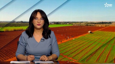 JT en Français Al Aoula du 13/07/2025