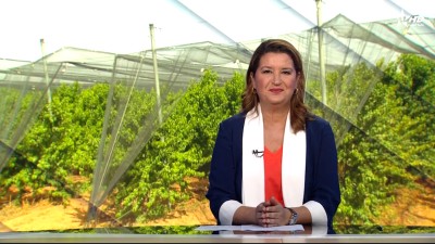 الأخبار الرئيسية الأولى 06/07/2025