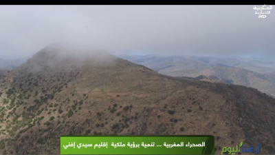الصحراء المغربية …تنمية برؤية ملكية (سيدي افني) - Ardouna Al Yawm