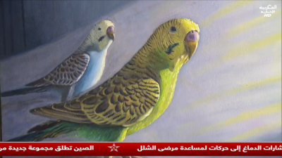 JT Al Maghribia Anglais 20h du 07/09/2025
