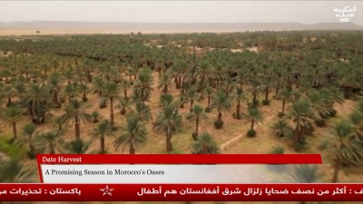 JT Al Maghribia Anglais 20h du 14/09/2025	