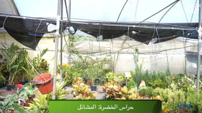 حراس الخضرة .. المشاتل - Ardouna Al Yawm