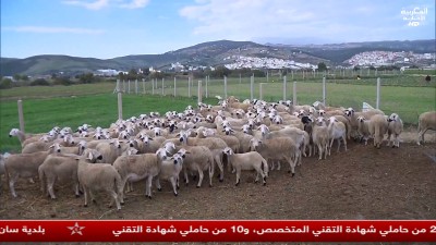 JT Al maghribia 15h du 26/10/2025