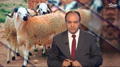 الأخبار الأمازيغية الأولى 26/10/2025