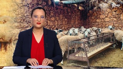 JT en Français Al Aoula du 26/10/2025