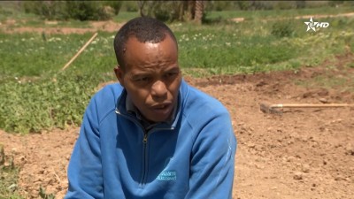 Ak d umkraz - Ak d umkraz