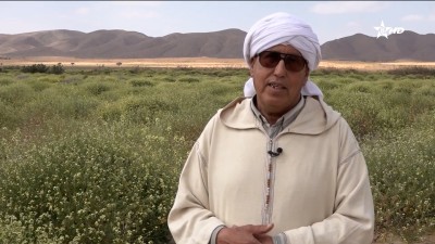 Ak d umkraz - Ak d umkraz