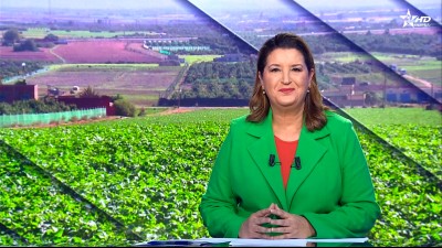 الأخبار الرئيسية الأولى 02/12/2025