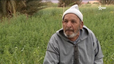 Ak d umkraz - Ak d umkraz