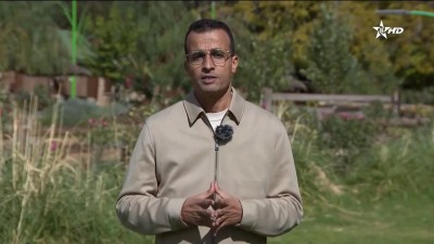 إنجازات وإكراهات رياضة ألعاب القوى - أنَّار